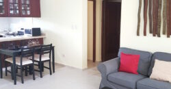Apartamento C101 Villas del Sol II